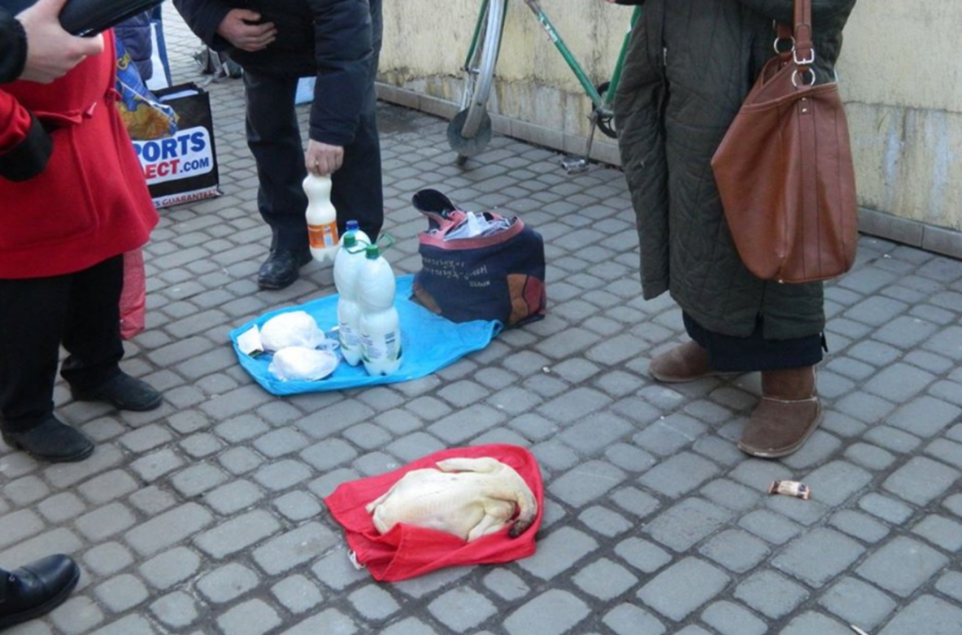 Фото: ФБ/Муніципальна варта Дрогобича