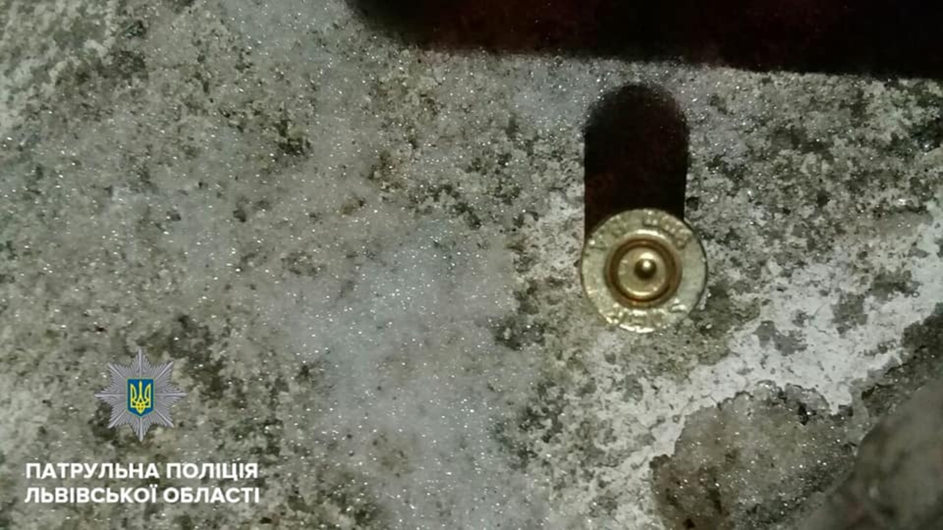 Фото: Патрульна поліція Львівської області