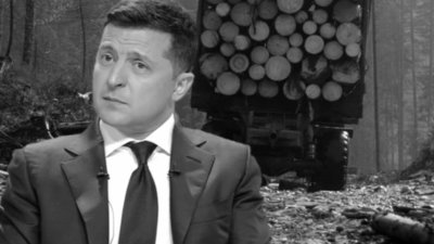 Для резиденції Зеленського у Карпатах замовили лісовоз