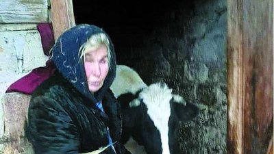 Заслужена доярка з Львівщини померла біля худоби у хліві