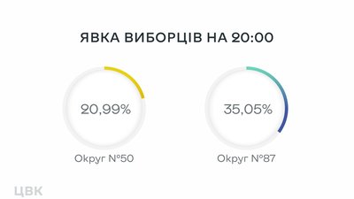 У ЦВК назвали явку на довиборах у Раду на двох округах