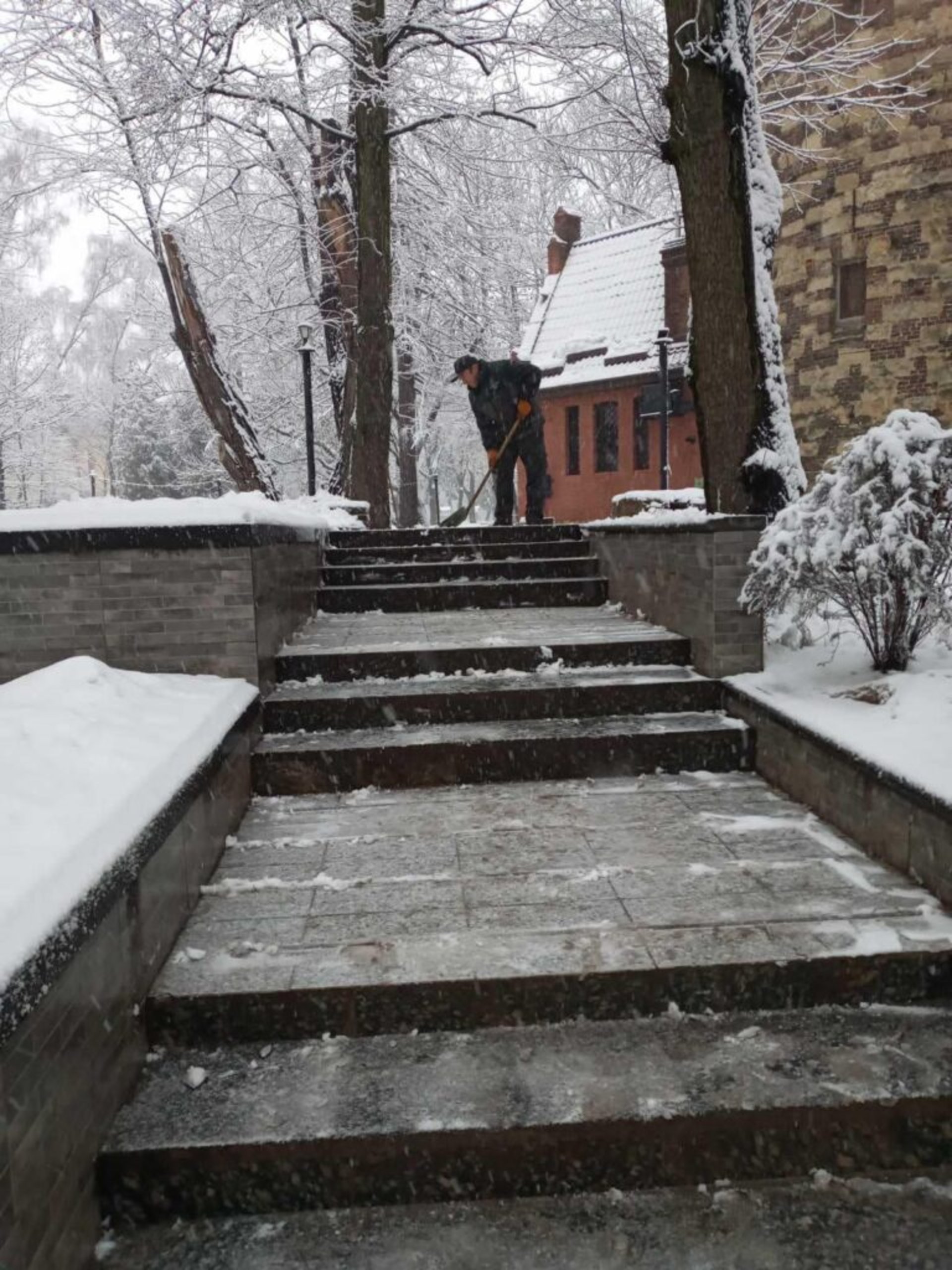 У Львові закликають уникати прогулянок у парках, фото Стрийського парку