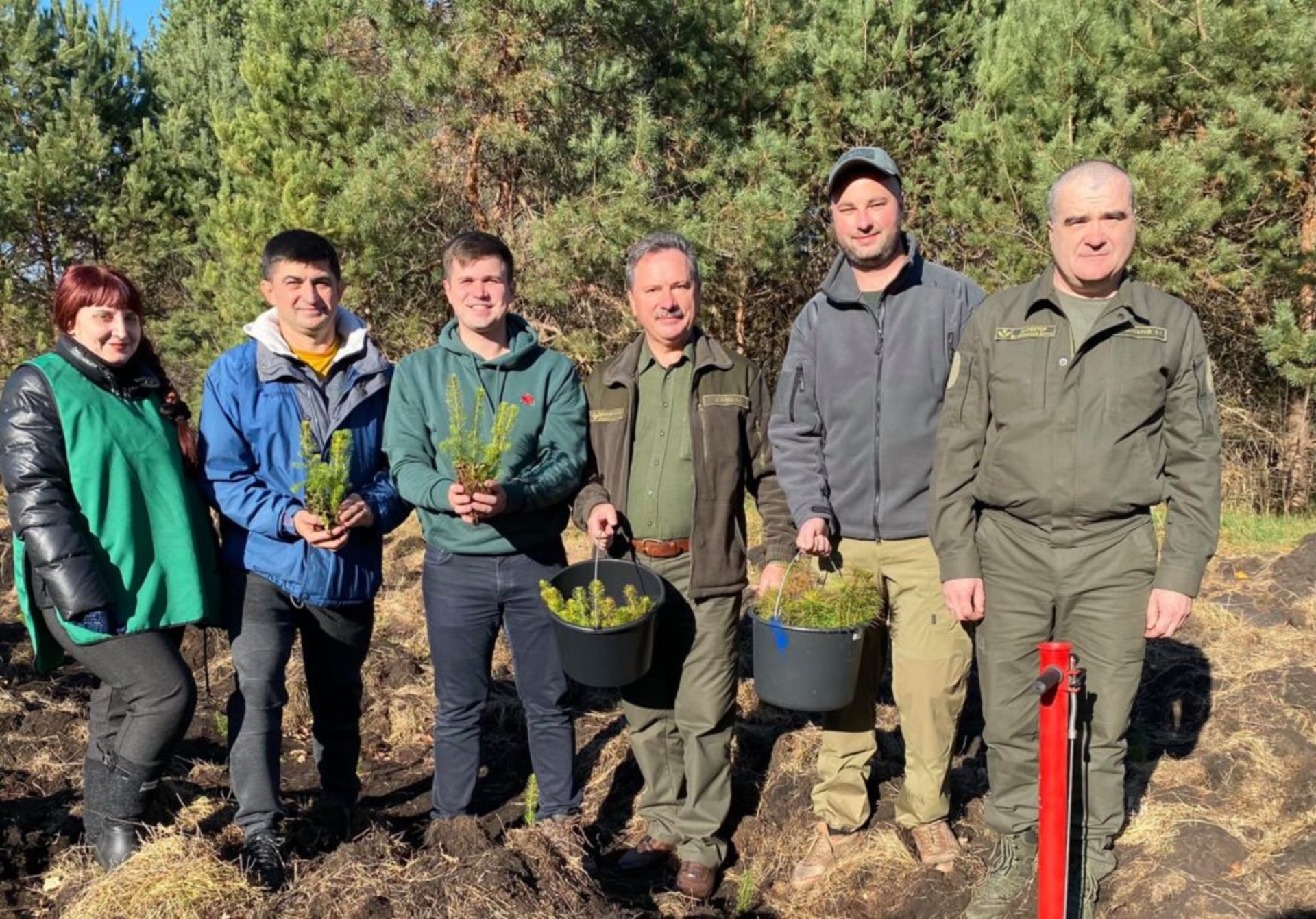 На Жовківщині висадили сосни і дуби