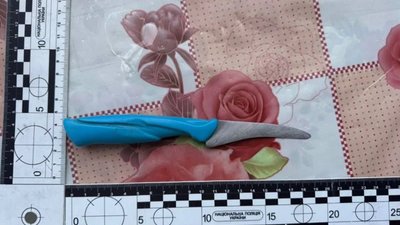 На Львівщині чоловік вдарив ножем матір своєї співмешканки