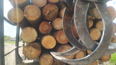 На Львівщині вилучили незаконно зрубану деревину (ФОТО)
