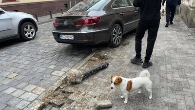 У Львові біля Палацу Потоцьких не розминулись автомобілі (ФОТО)