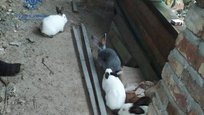 На Львівщині з пожежі врятували кролів та свиней (ФОТО)