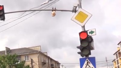 У Стрию встановили світлофори, які "розмовляють" (ВІДЕО)