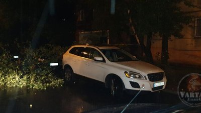 У Львові негода звалила дерево (ФОТО)
