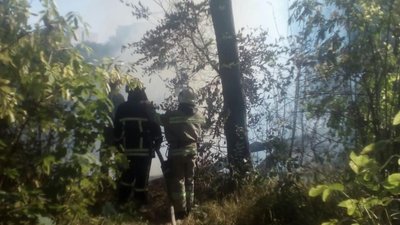 У Львові горить парк (ФОТО, ВІДЕО)