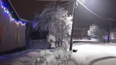 На Львівщині випав сніг (ФОТО)