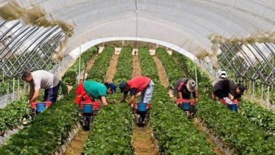 У Турківському районі СБУ викрила махінації із соцвиплатами