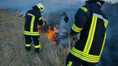 На Львівщині палять суху траву