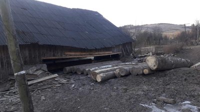 На Львівщині продовжують незаконно вирубувати ліс