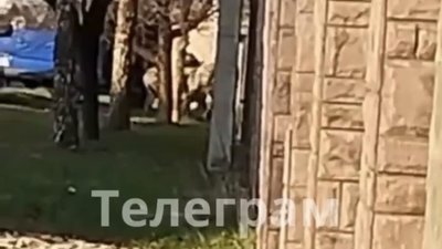 У Мукачеві ТЦК хотіли копняками мобілізувати чоловіка (ВІДЕО)