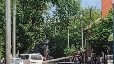 У Львові електроопора впала на проїжджу частину вулиці: рух заблоковано (ФОТО)