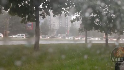 У Львові негода знову повалила дерева (ВІДЕО)