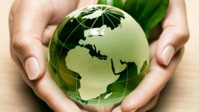 Школярів Львівщини запрошують долучитись до екологічного проекту