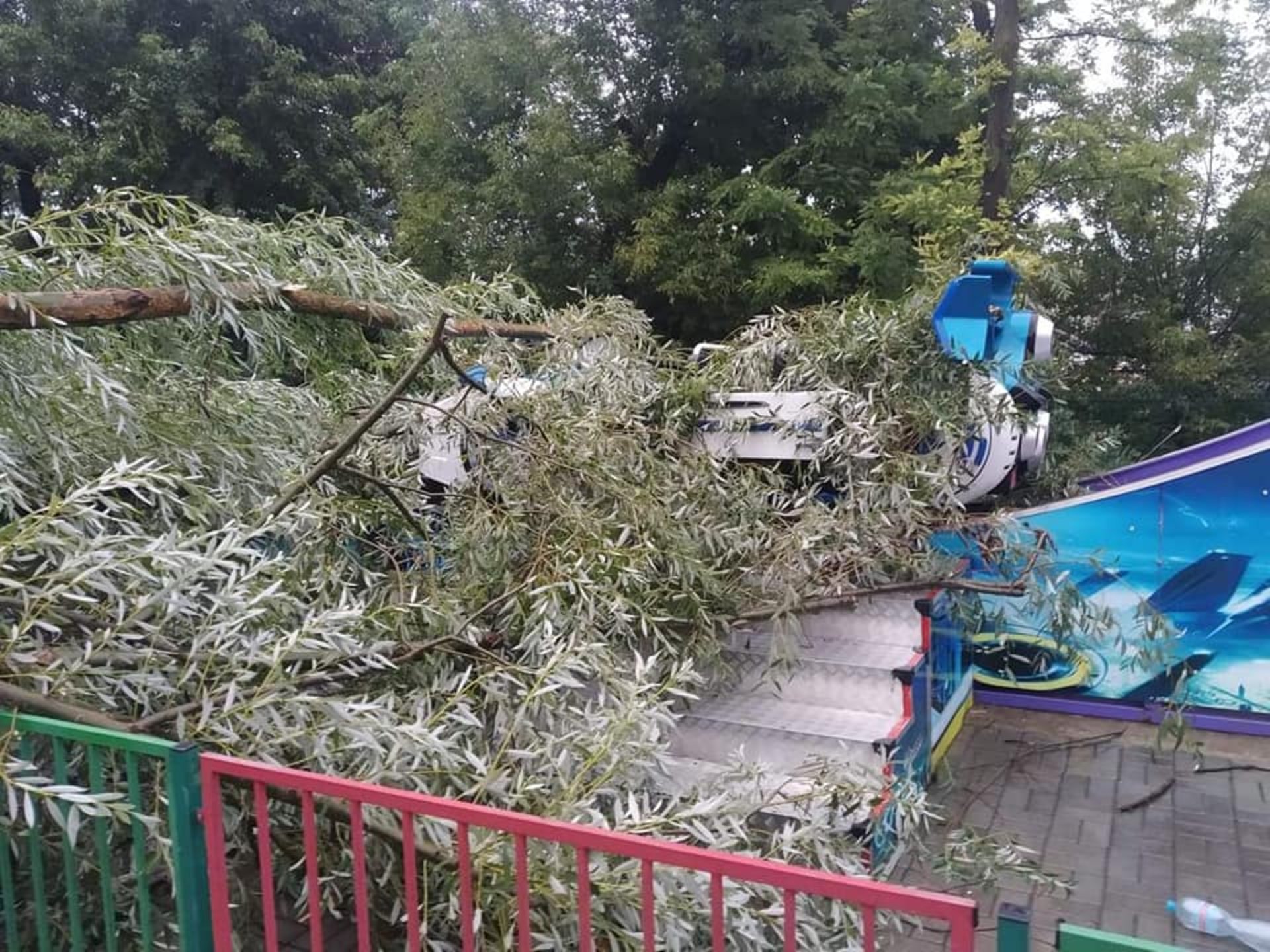 У Львові у парку культури впали дерева, фото із Фб-сторінки парку