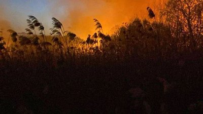 На Львівщині за добу 15 разів палили суху траву