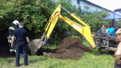 У Львівській області корові врятували життя (ФОТО)