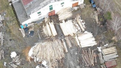 На Турківщині квадрокоптери шукають незаконні пилорами