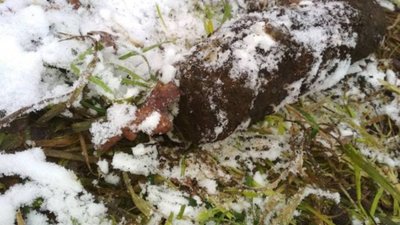 Вибухонебезпечна прогулянка: у селі на Львівщині виявили схрон боєприпасів