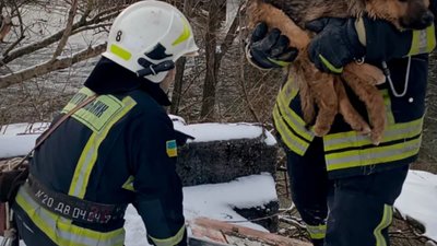 На Львівщині врятували собаку