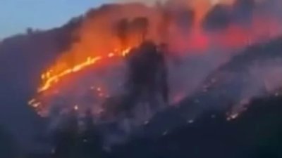 На Закарпатті масштабна лісова пожежа