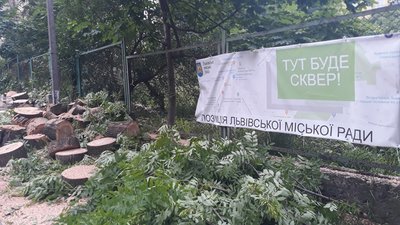 Підлеглі Садового продовжують зрізати дерева у Львові