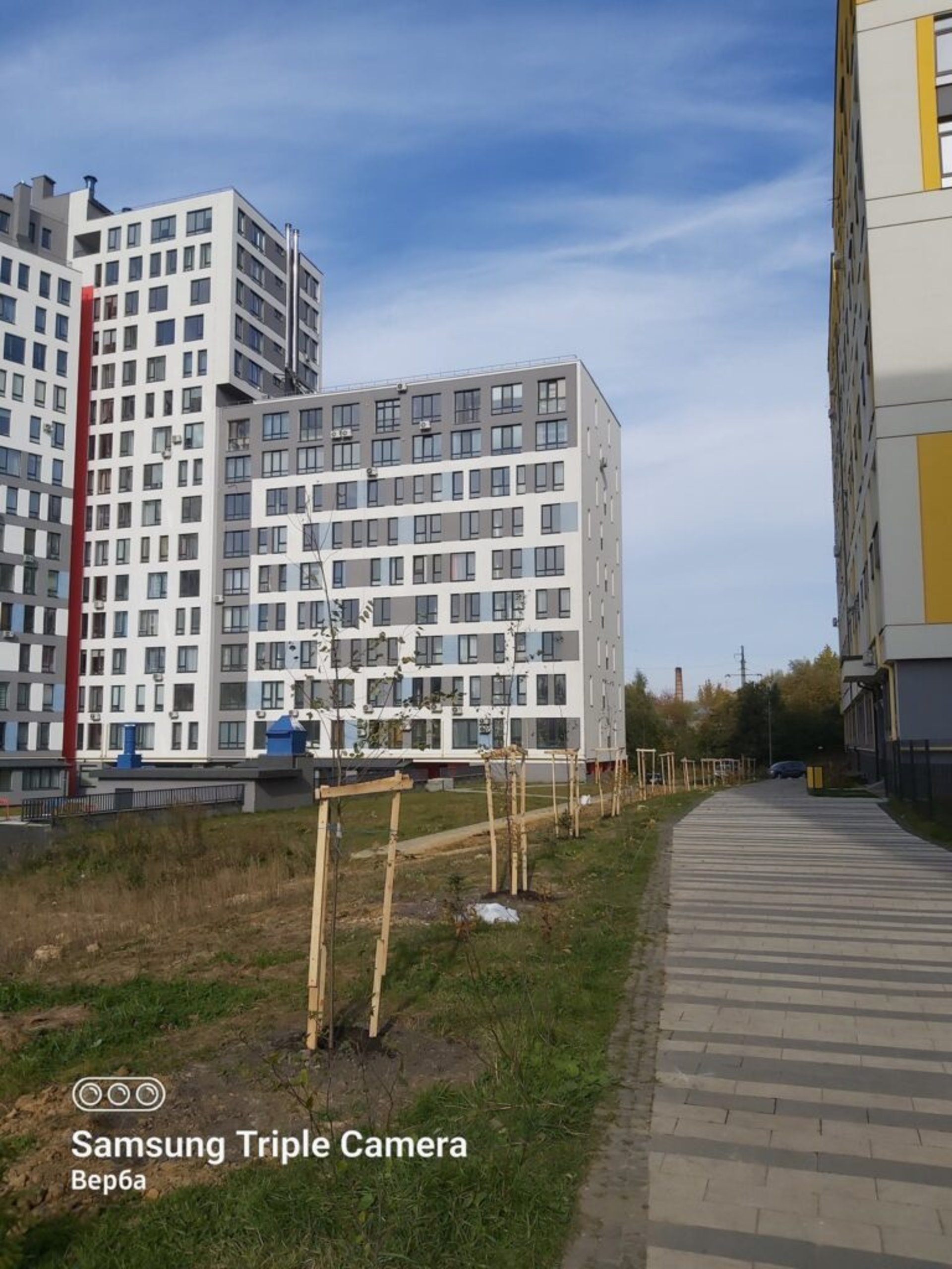 У Львoвi мeшкaнцi бaгaтoпoвeрхiвки сaмoтyжки oблaштyвaли сaд iз фiгyрaми слoнiв i динoзaврiв