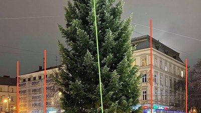 У Львові просять вирівняти головну ялинку міста (ФОТО)