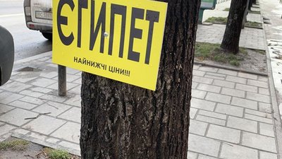 Як у Льовові реклама нищить дерева (ФОТО)