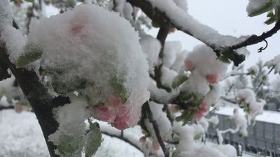 У Черкасах випав перший сніг