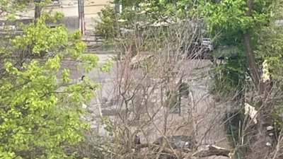 У Львові дерево впало на автомобіль