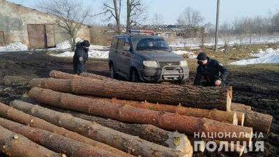 На Львівщині вилучили майже три десятки колод сосни (ФОТО)