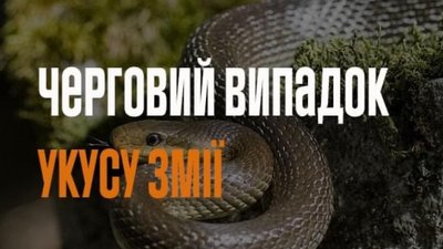 На Львівщині змія знову вкусила людину