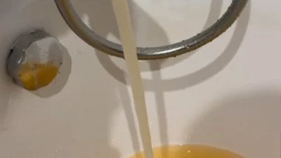 Якість води Садового у Львові (ВІДЕО)