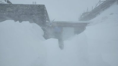 У Карпатах засніжило