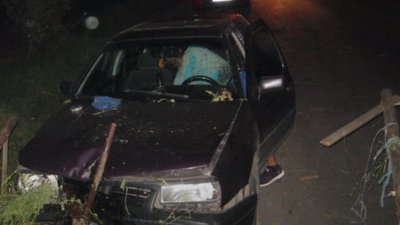 На Львівщині легковик в’їхав у кінну підводу (ВІДЕО)