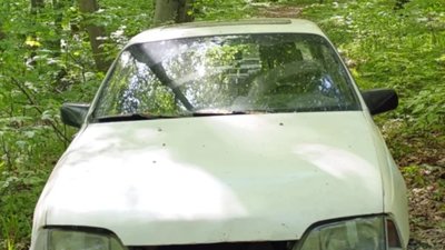 На Львівщині у лісі знайшли автомобіль на волинських номерах
