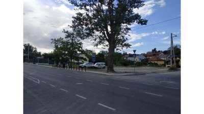 На місці знесеного самобуду на Личаківській облаштують громадський простір