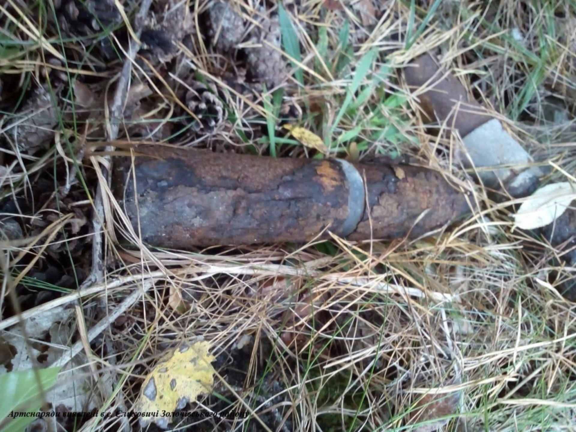 Фото: ДСНС у Львівській області