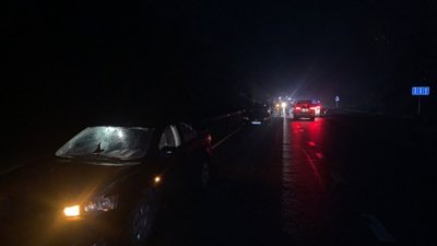 На Львівщині автомобіль на смерть збив 24-річну жінку (ФОТО)