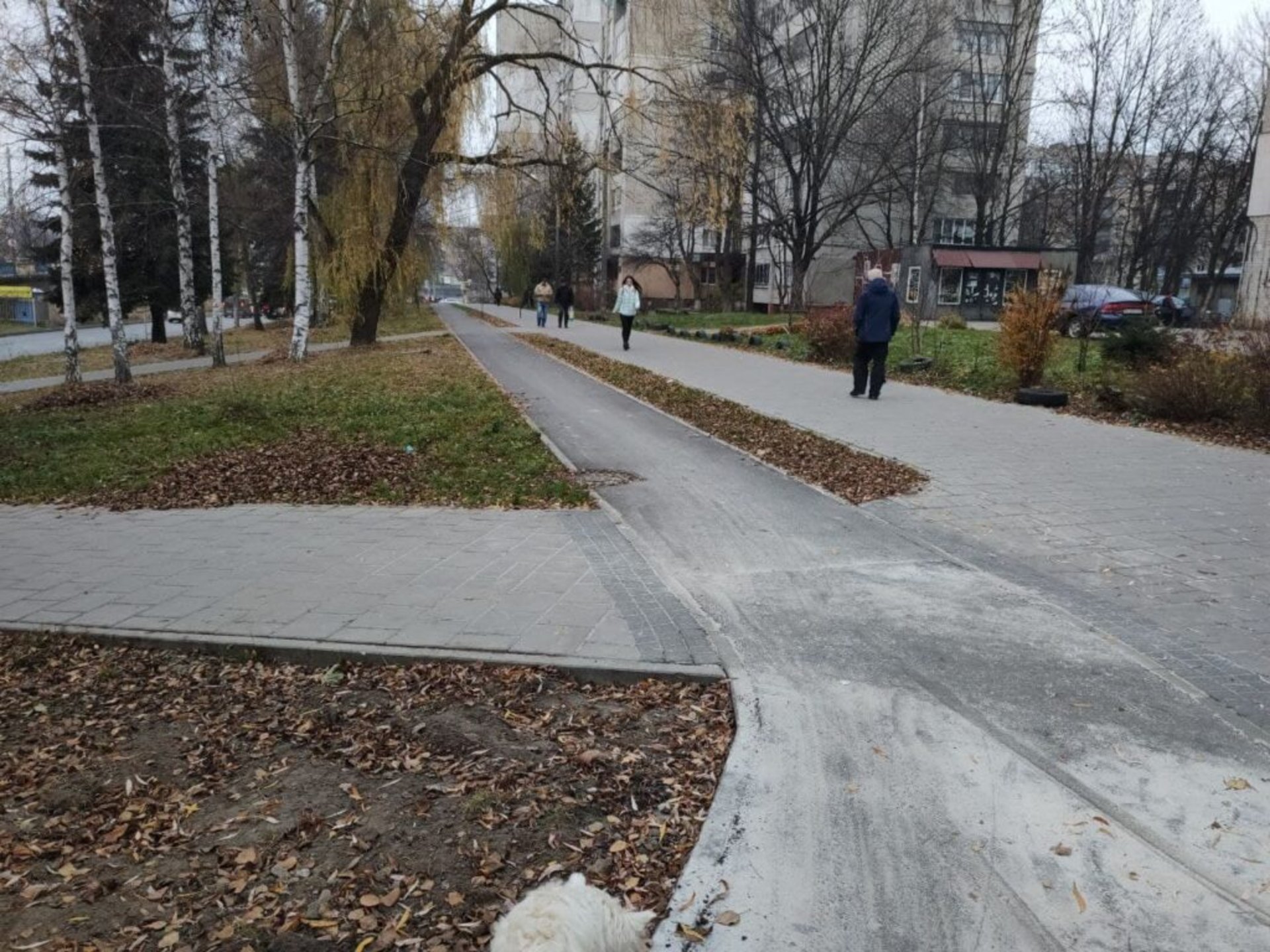 У Львові на вулиці Княгині Ольги завершили будівництво велодоріжки, фото ЛАВ