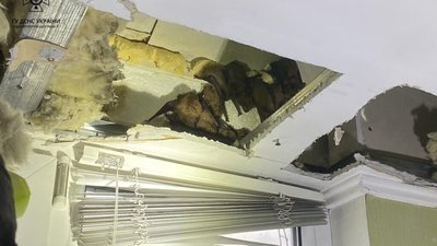 У Дніпрі рятувальники вилучили з балкону квартири 140 кажанів