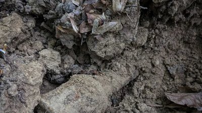 Біля села Рясне-Руське виявили ручну гранату РГД-33