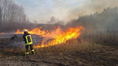 На Дрогобиччині селяни масово палять сухостій: в районі проведуть масштабний рейд з виявлення паліїв