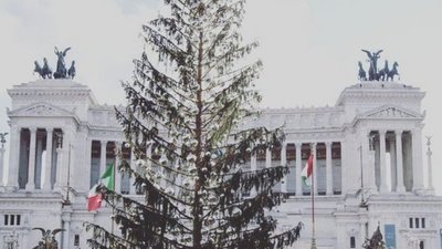 "Лису" ялинку з Рима можуть перетворити на музейний експонат