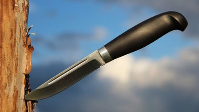 Різанина на Сокальщині: жінка всадила ніж у живіт власній доньці
